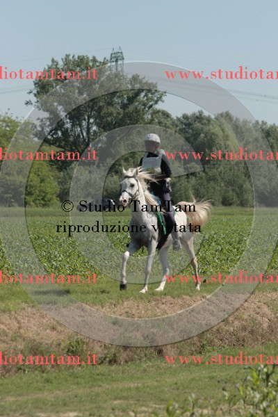 IMGB7483.JPG