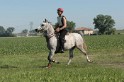IMGB7341
