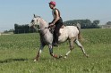 IMGB7343