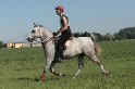 IMGB7346