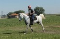 IMGB7351