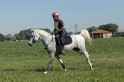IMGB7353