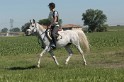 IMGB7392