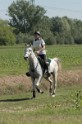 IMGB7433