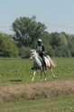 IMGB7484