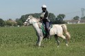 IMGB7493
