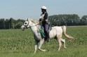 IMGB7496