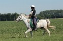IMGB7497