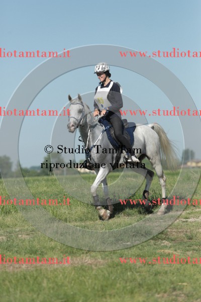 MAT_9530.JPG