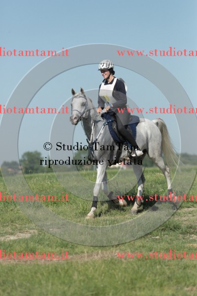 MAT_9531.JPG