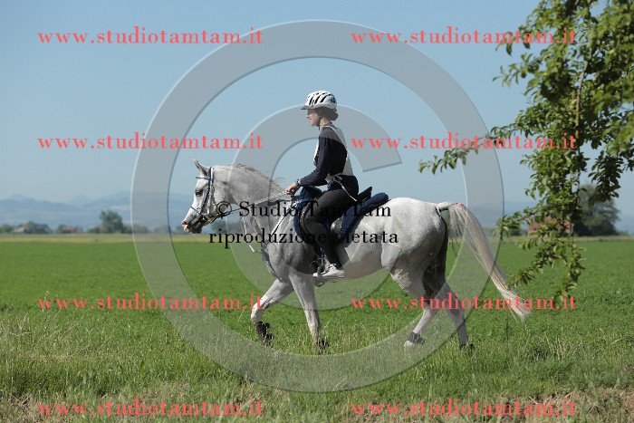 MAT_9538.JPG