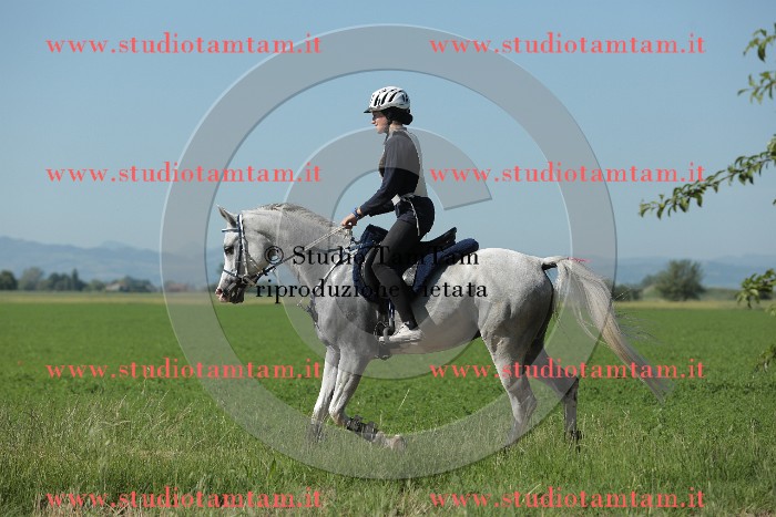 MAT_9539.JPG