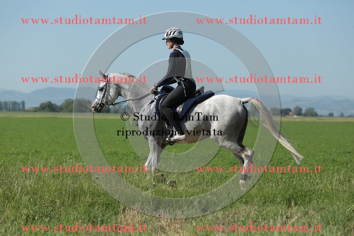 MAT_9541.JPG