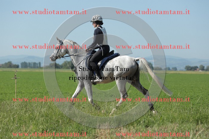 MAT_9542.JPG