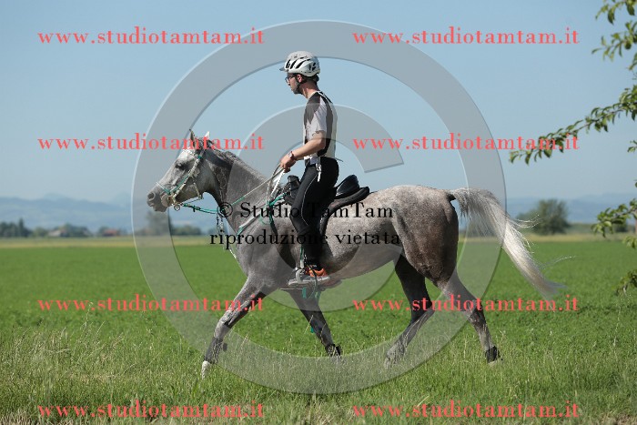 MAT_9544.JPG