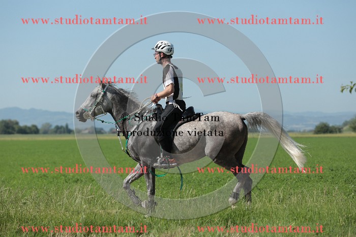 MAT_9545.JPG