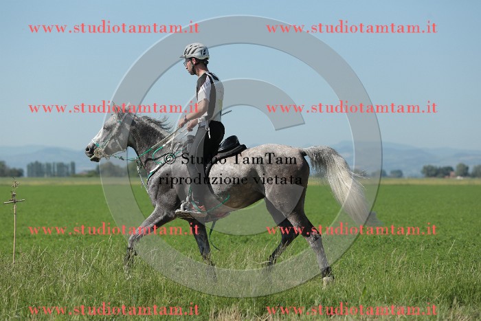 MAT_9547.JPG