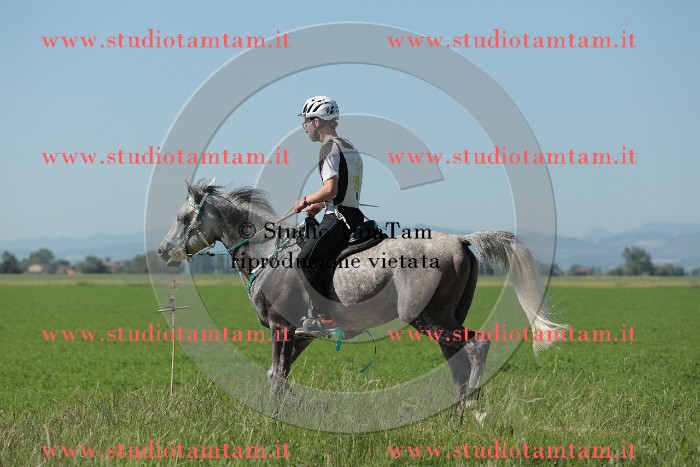 MAT_9548.JPG