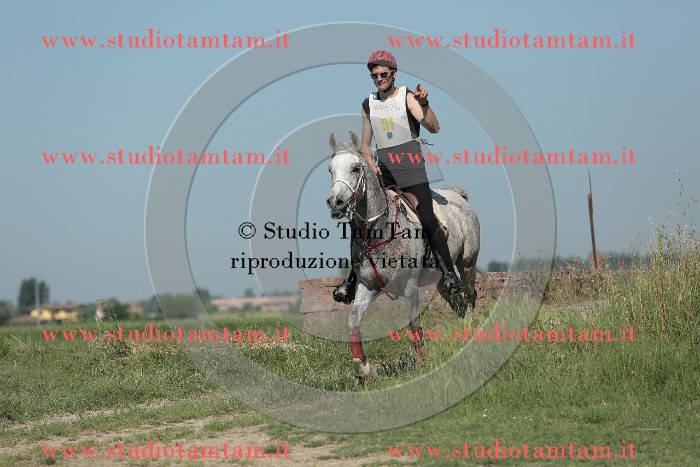 MAT_9552.JPG