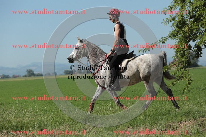 MAT_9557.JPG
