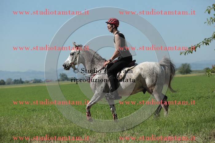 MAT_9558.JPG