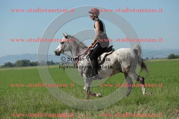MAT_9559.JPG