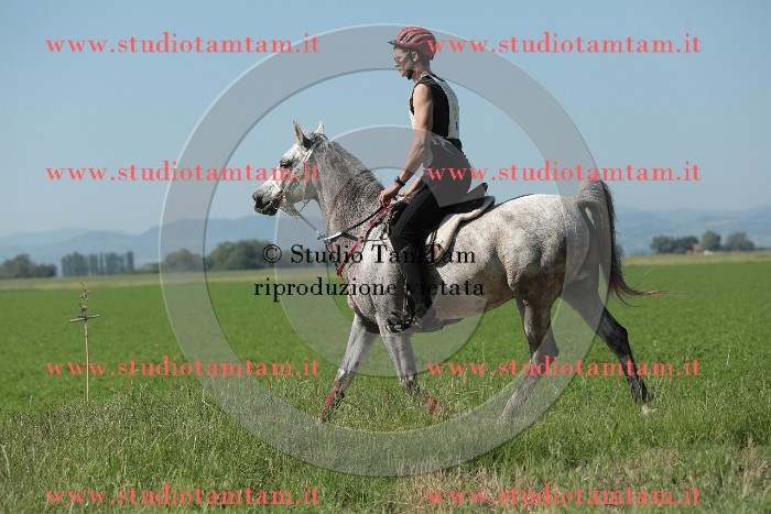 MAT_9560.JPG
