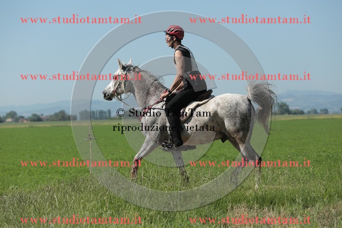 MAT_9561.JPG