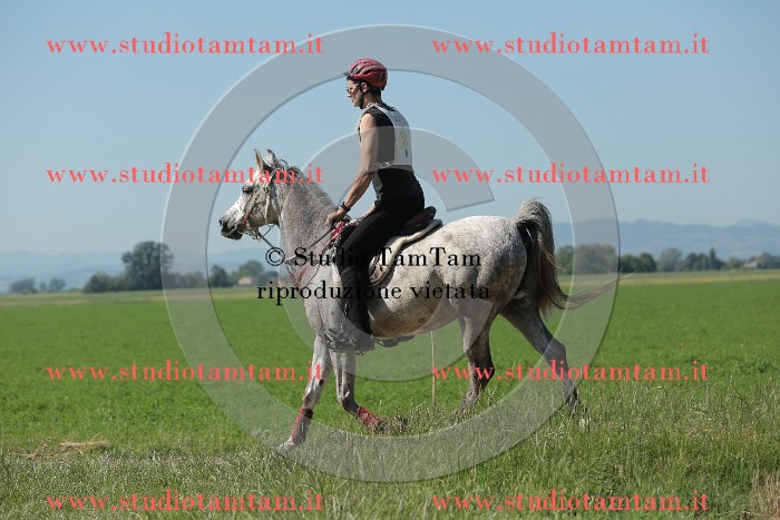 MAT_9563.JPG