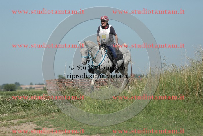 MAT_9564.JPG