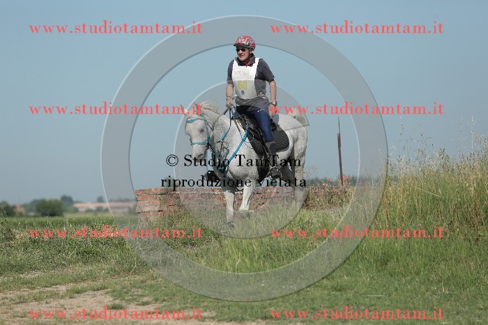 MAT_9565.JPG