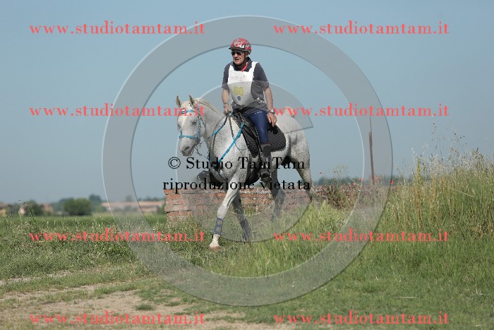 MAT_9566.JPG