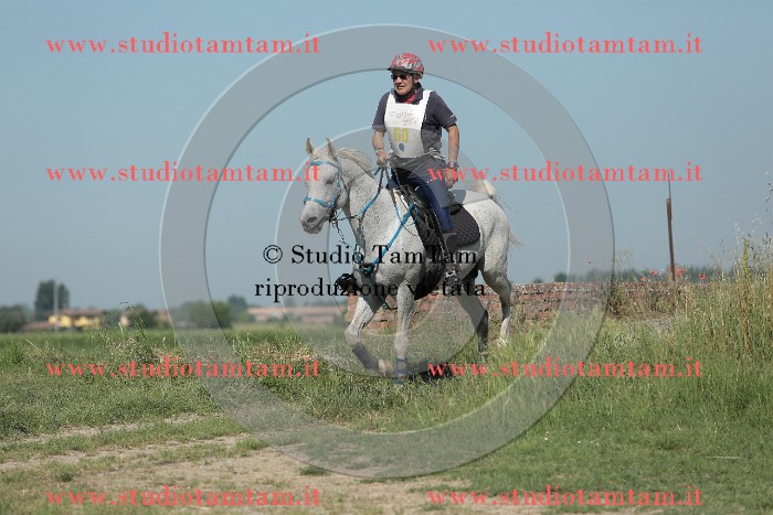MAT_9567.JPG
