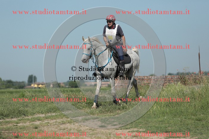 MAT_9568.JPG
