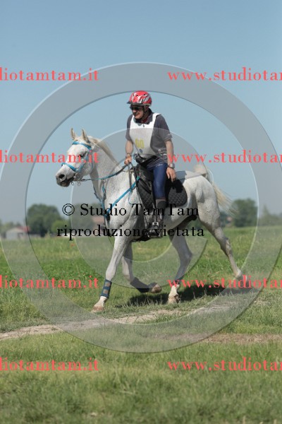 MAT_9569.JPG