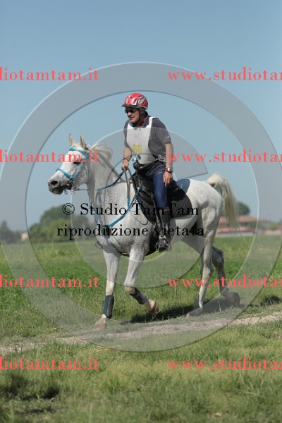 MAT_9571.JPG