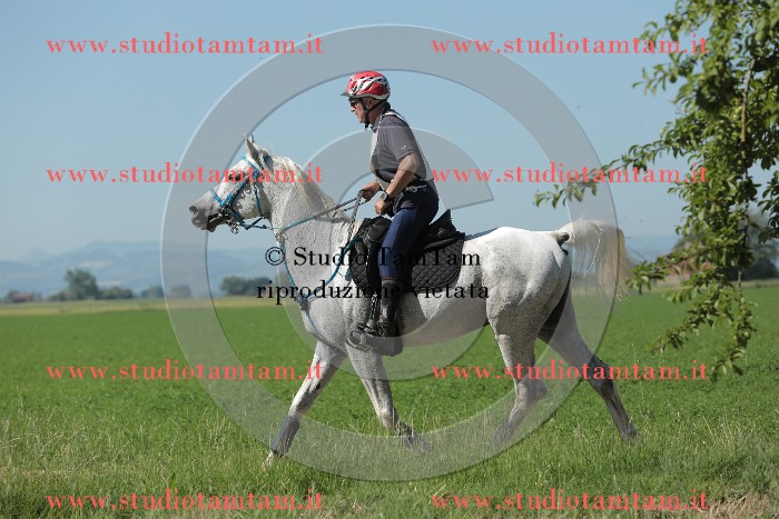 MAT_9572.JPG