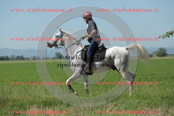 MAT_9573.JPG