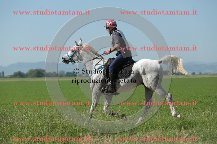 MAT_9574.JPG
