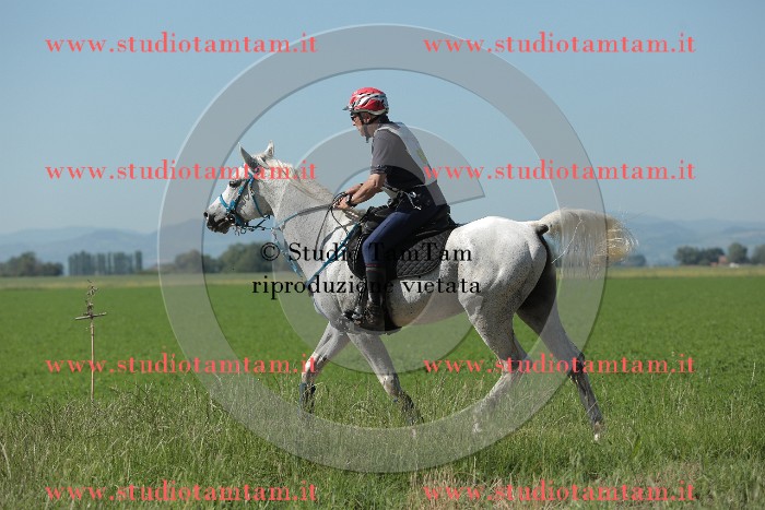MAT_9575.JPG