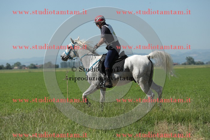 MAT_9576.JPG