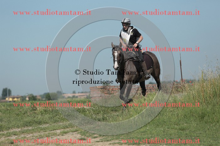 MAT_9577.JPG