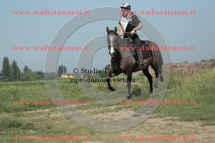 MAT_9581.JPG