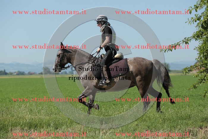 MAT_9589.JPG