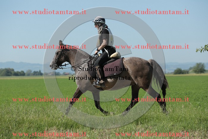 MAT_9590.JPG