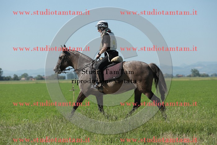MAT_9593.JPG