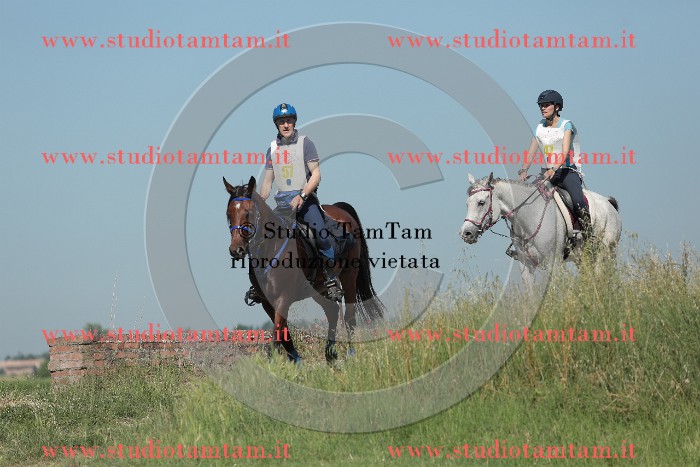 MAT_9594.JPG