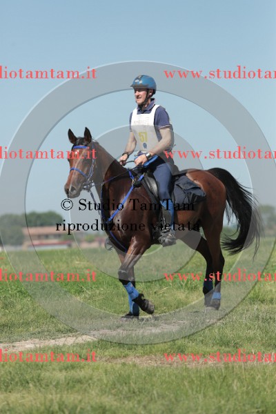 MAT_9600.JPG