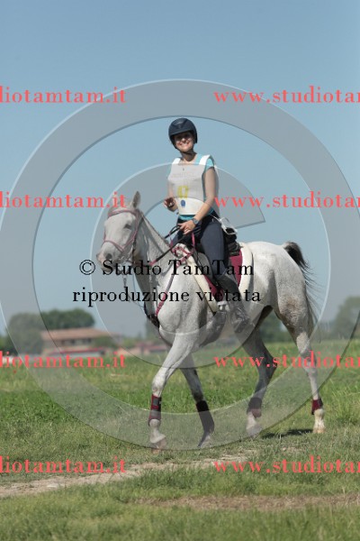 MAT_9605.JPG