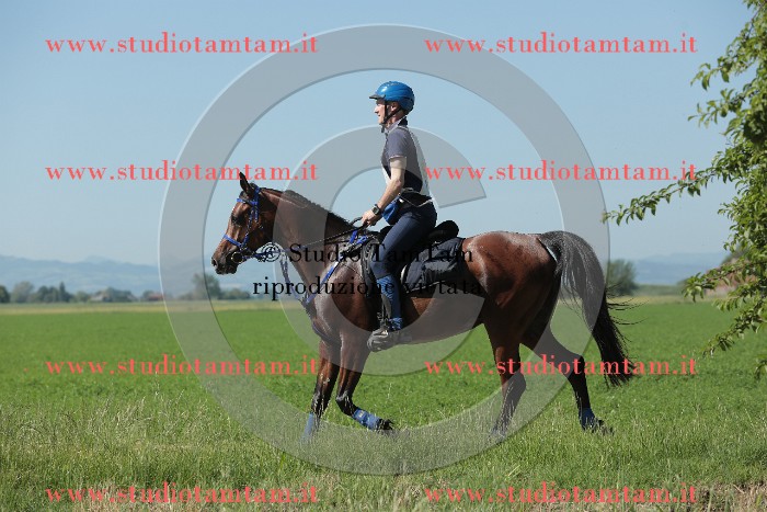 MAT_9607.JPG
